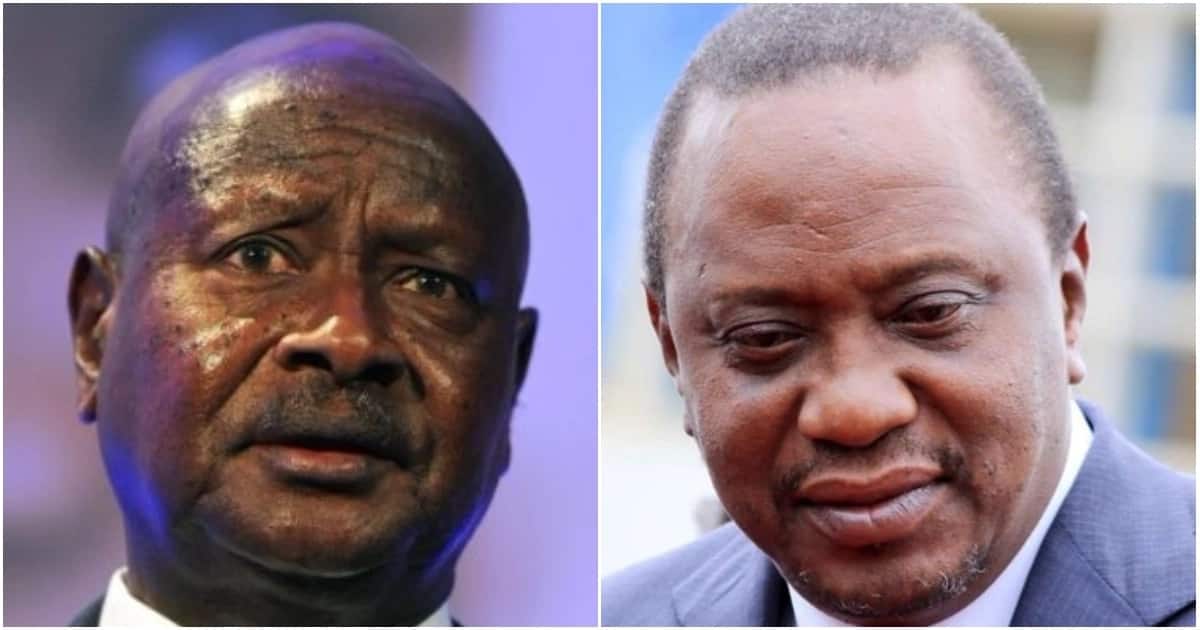 Diplomatic row looms between Kenya, Uganda after UN moved office from  Entebbe to Nairobi - Tuko.co.ke