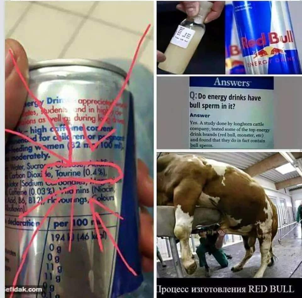 Does Red Bull energy drink contain sperms from a bull?