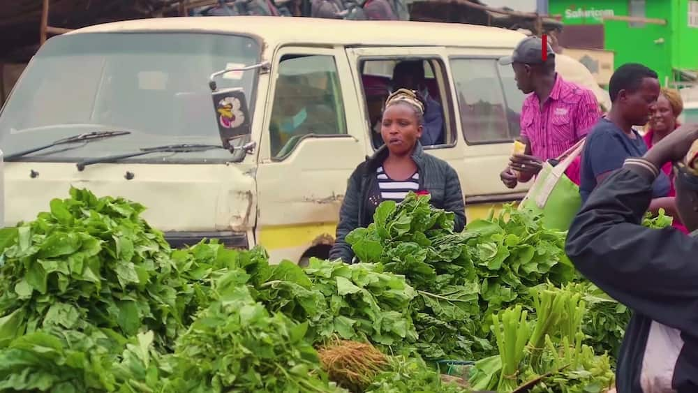 TUKO.co.ke yafichua kuwa wakaazi wa jiji la Nairobi wala mboga ya maji taka