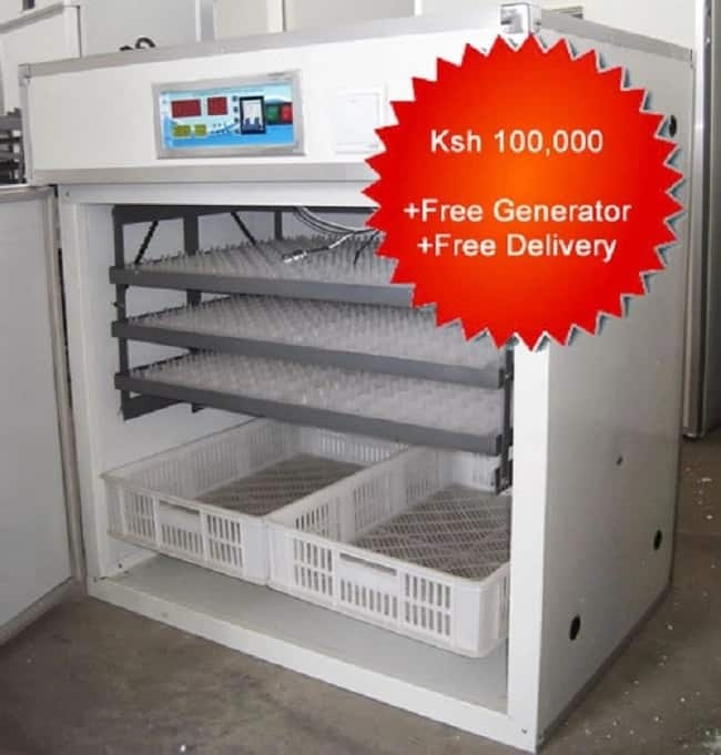 INCUBATORS in Kenya - Prices, Types & Sellers Tuko.co.ke