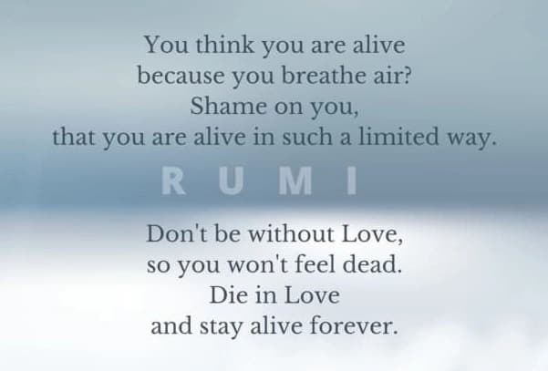 Rumi quotes on life
Rumi quotes green 
Alone quotes rumi