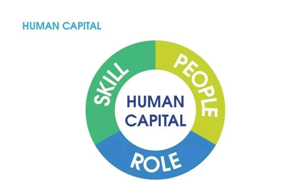 Human Capital Theory in human resource management Tuko.co.ke Human Capital