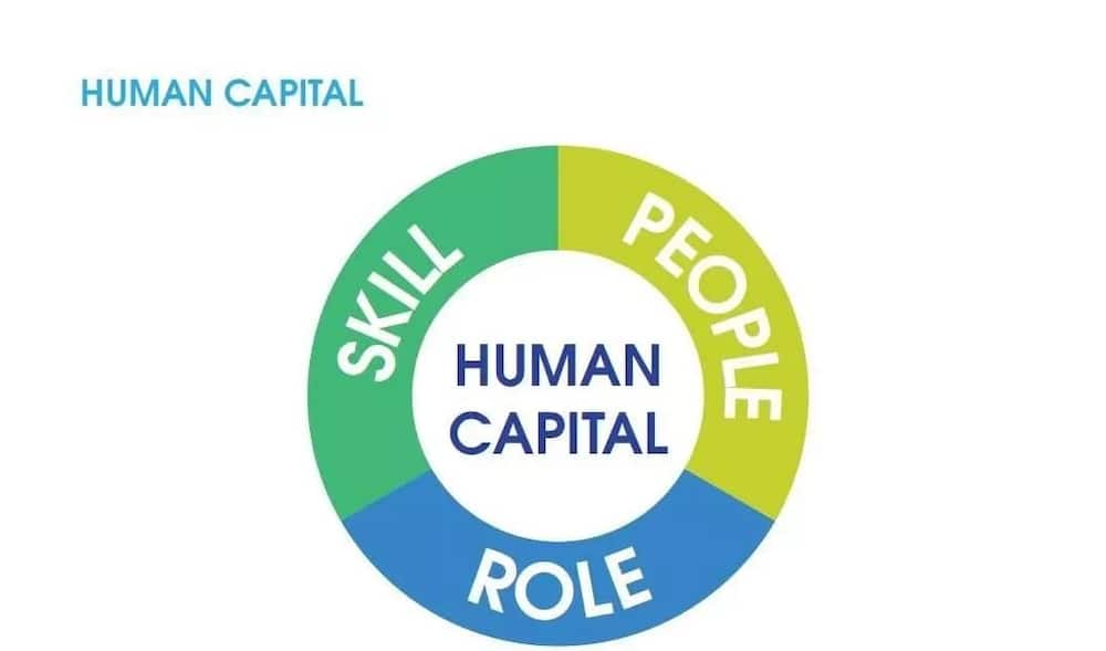 human capital theory, human resources, human capital definition