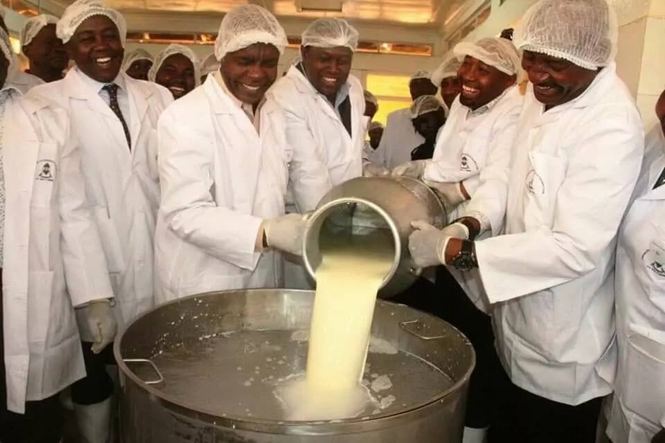 Makueni becomes first county to sell branded milk, process mangoes