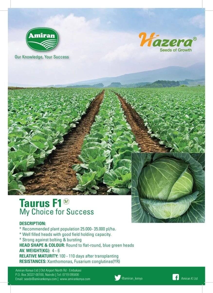 amiran kenya limited contacts
amiran communications kenya contacts
contacts for amiran kenya