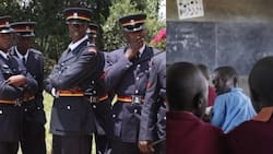 Polisi wakamata wanafunzi wa darasa la 7 na 8 wakishiriki ngono, Kayole