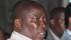 Swarm of bees attack Jubilee MP and mourners at a funeral service in Laikipia