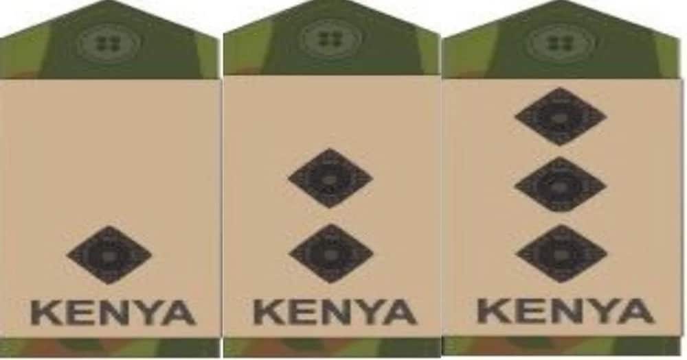 16 common KDF badges and their meaning that all Kenyans should understand