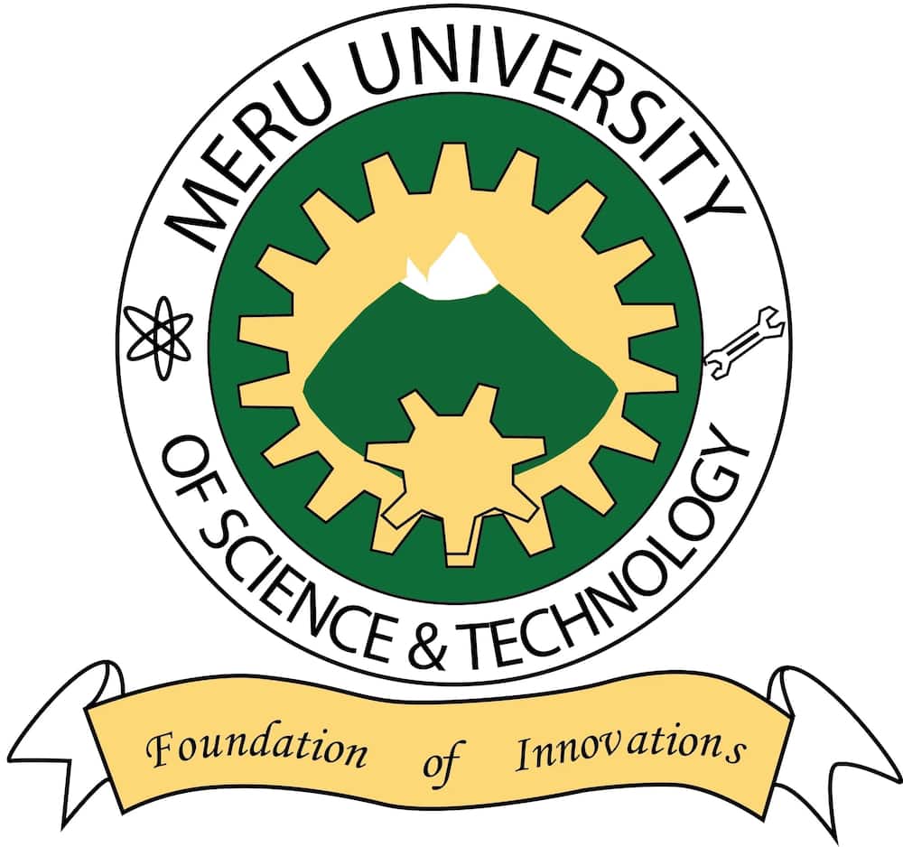 Meru university courses & fee structure