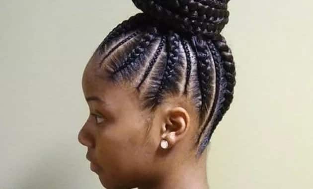 Easy hairstyles for braids (African hair) 