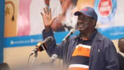 Raila Odinga sensationally lists new plot to help Uhuru RIG the 2017 election