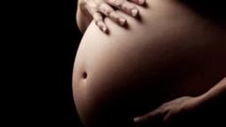 Pregnant Slay Queen Storms Boyfriend's Workplace in Nairobi Demanding Child Support