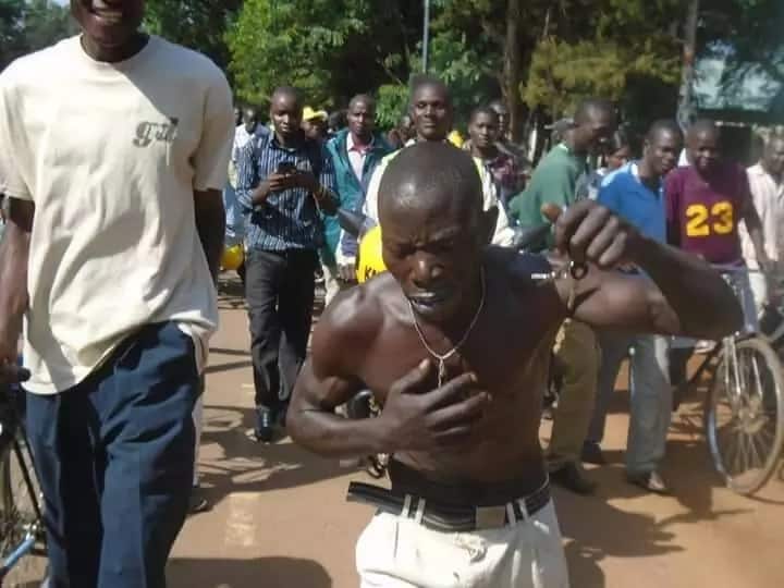 Kizaaza baada ya mwizi wa gari kuvamiwa na nyuki mjini Bungoma, kaokolewa na polisi