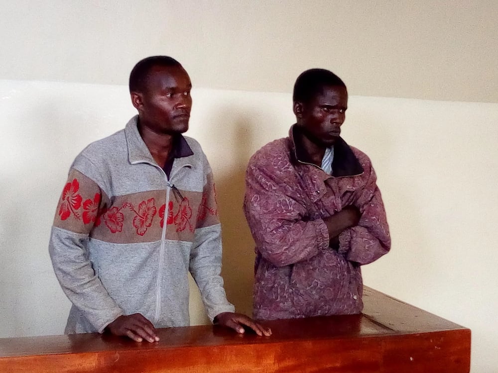 Commanders of gang terrorising Mt Elgon residents arraigned in court
