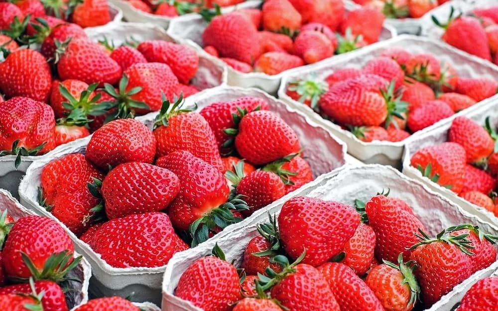 Strawberry Farming in Kenya: How to Earn from the Lucrative Investment