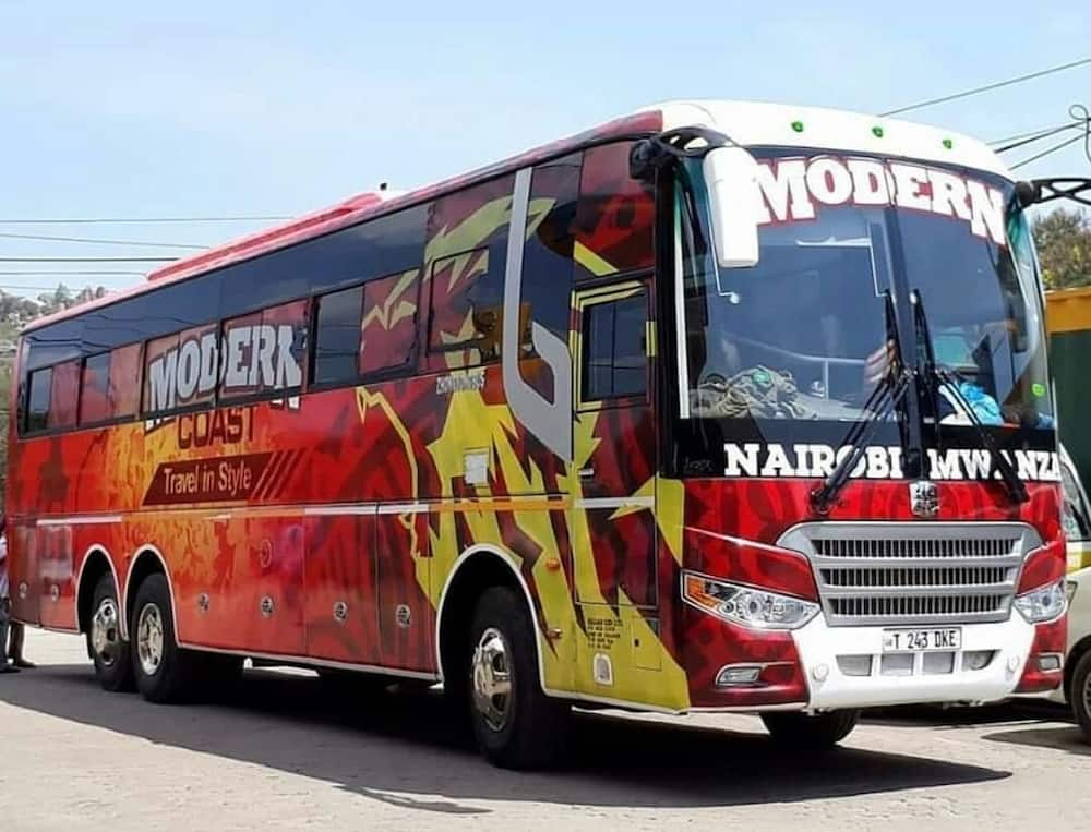 modern coast bus contacts, modern coast contacts, modern coast bus customer care contacts