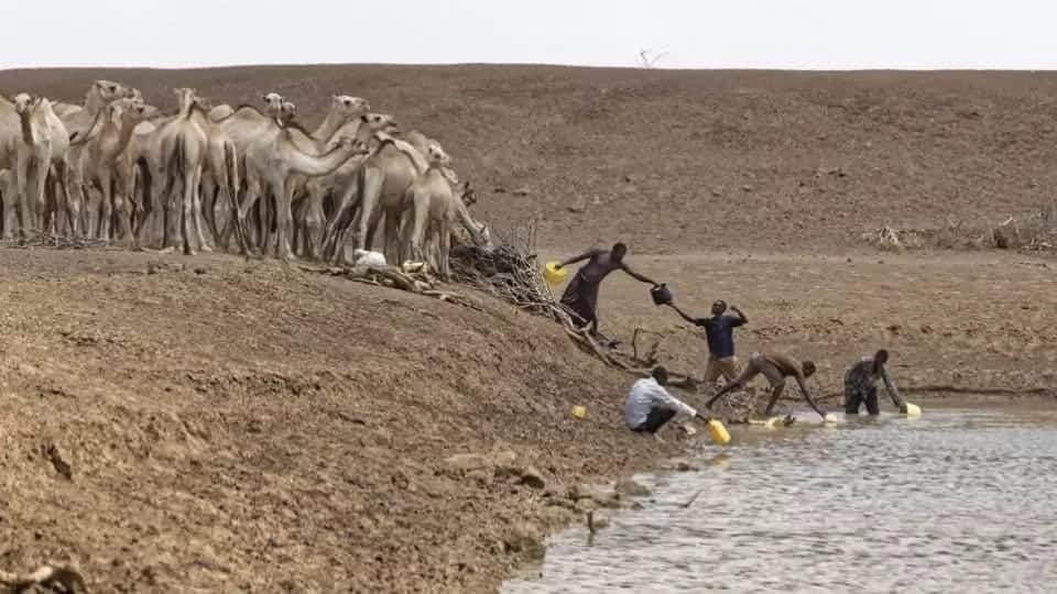 Impacts of drought in Kenya
Effects of drought in Kenya
Images of drought in Kenya