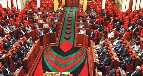 The report was tabled in the House on Thursday, July 8, by the Parliamentary Broadcasting and Library Committee. Photo: National Assembly.