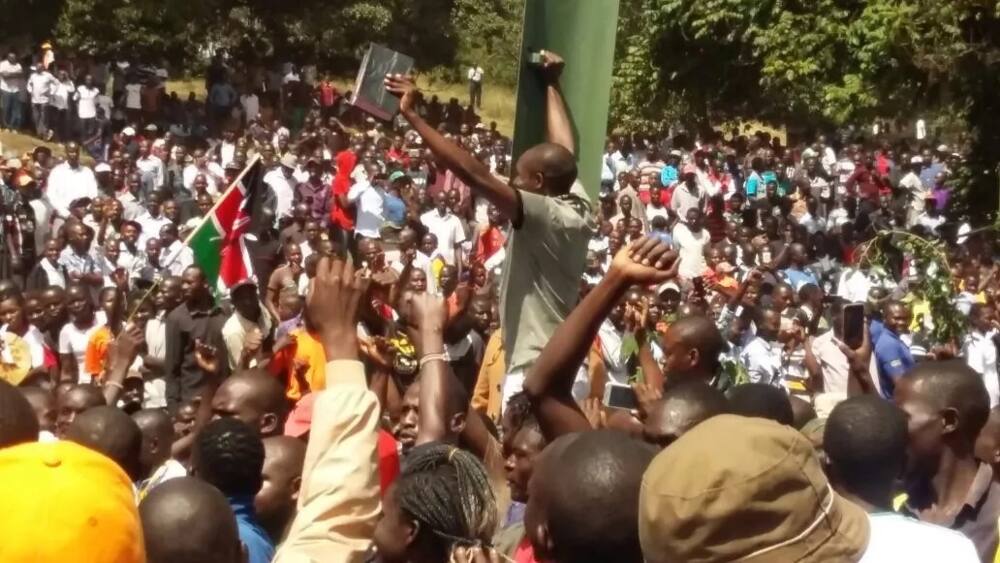 Wafuasi wa NASA wajaza Uhuru Park kushuhudia Raila akiapishwa