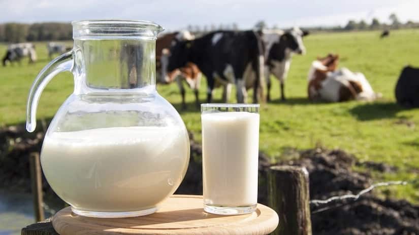 challenges in dairy farming