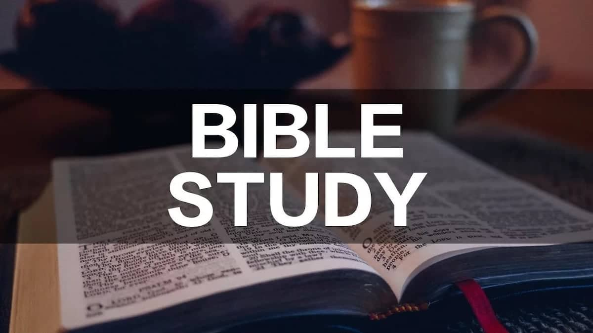 How to study the Bible effectively - Tuko.co.ke