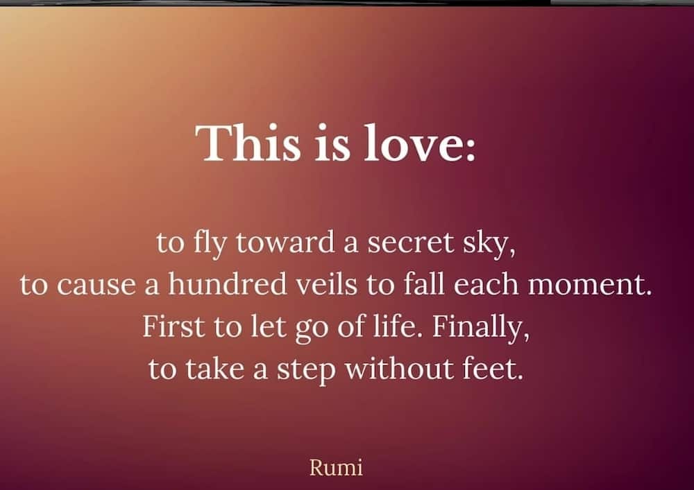 Rumi quotes green 
Alone quotes rumi
Rumi quotes pictures