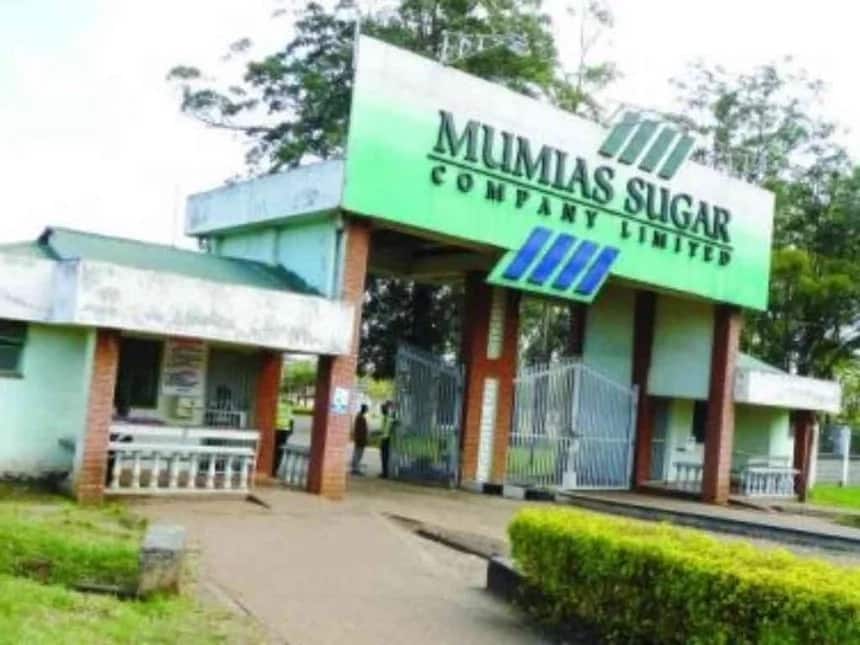 Mumias Sugar Company legal manager SHOT dead, wife injured in an attack at their Matungu home
