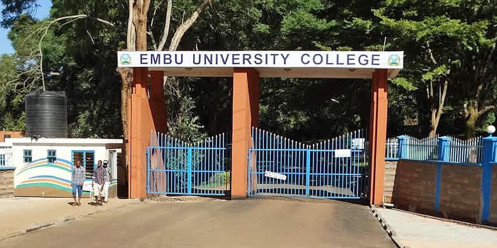 Embu University College Courses Offered: What You Can Study Here