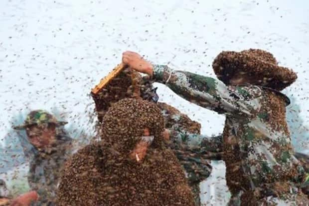 Man Sets World Record By Covering Himself In 100kg Of Bees