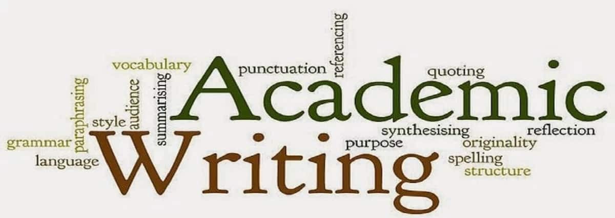 Academic essay writing sites