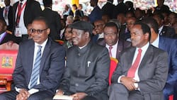 Kalonzo Musyoka's betrayal of Raila at the last minute was a super political move - Mutahi Ngunyi