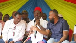 Govt withdraws governor Joho's security after Raila swearing-in