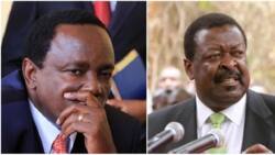 Mudavadi in NASA to stay, to battle it out with Kalonzo and Wetang'ula for 2022 ticket - leaders
