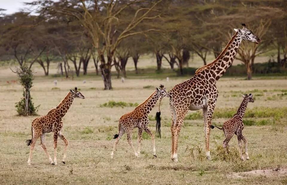 Mark Zuckerberg blown away by Kenya's nature