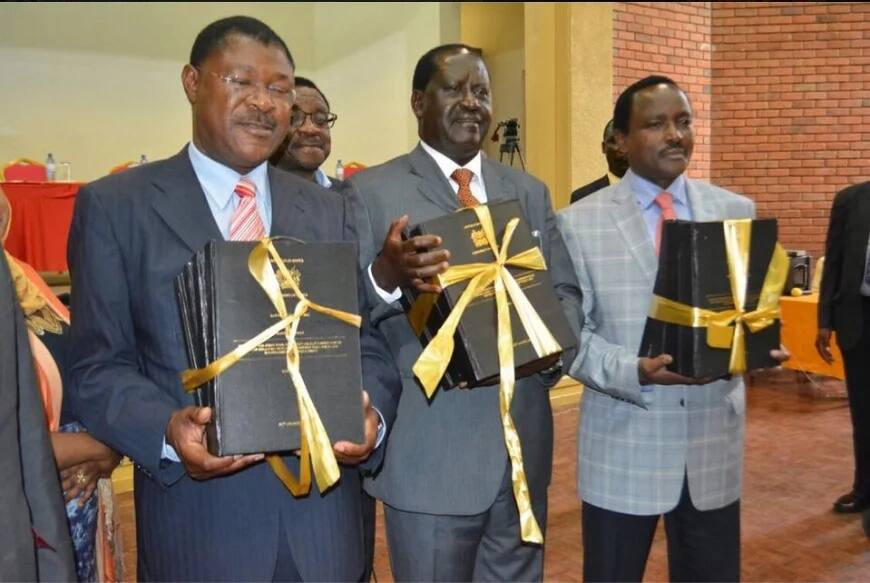 Wetangula differs with Raila, Kalonzo on CORD