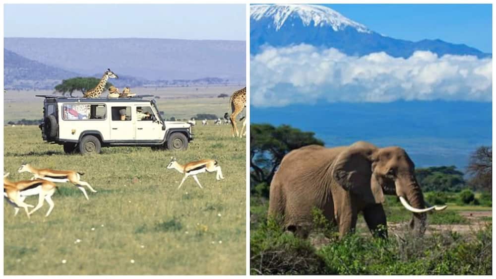 Good news! Kenya emerges as 3rd most preferred tourist destination for RICH people globally