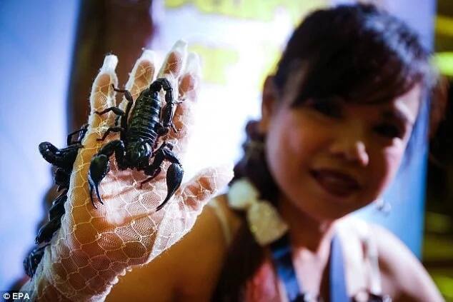 Kanchana holds two Guinness World Records, one for keeping a spider in her mouth for three minutes