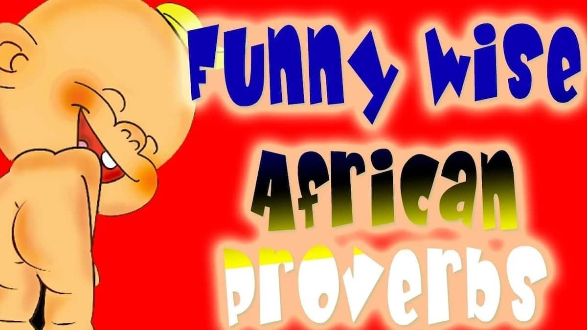 Very Funny African Proverbs