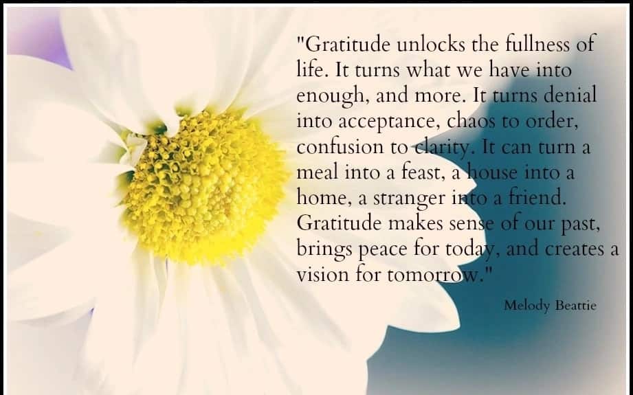 gratitude quotes, quotes on gratitude, quotes about gratitude, best gratitude quotes