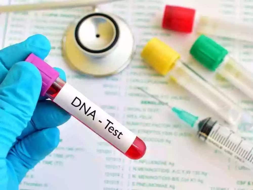 DNA test kit. UGC