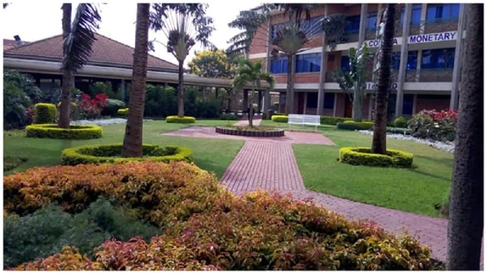 tourism universities in kenya