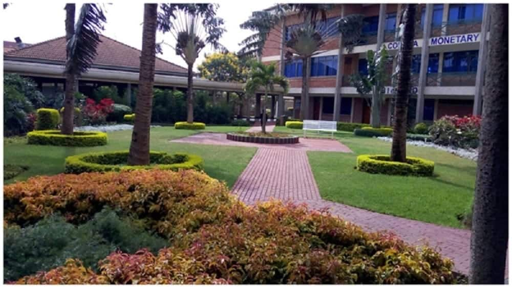 20 Best Colleges In Kenya 2021 And Notable Institutions Tuko co ke