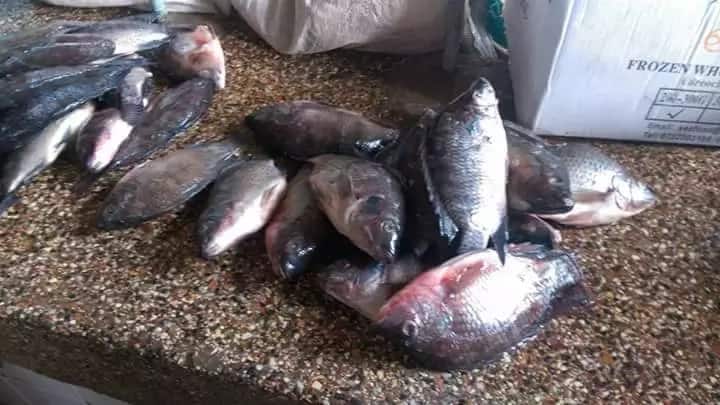 Kisumu residents defy MPs' directive on fish from China