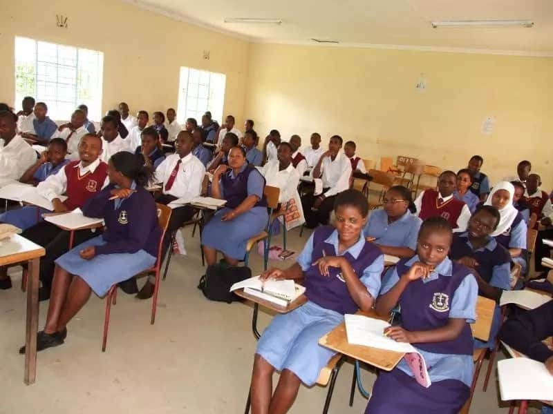 kenya-medical-training-college-courses-offered-your-options-tuko-co-ke