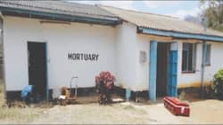 I Slept with Dead Man in Morgue to Get Pregnant, Mom of Twins Narrates