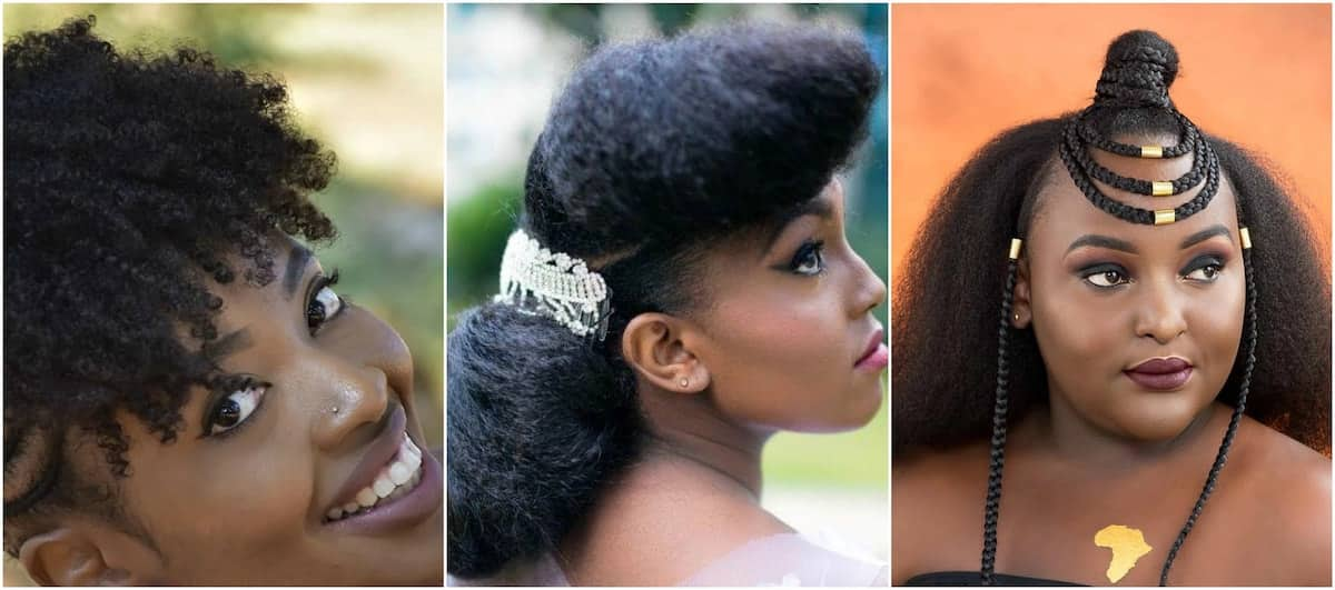 Kenyan hairstyles for natural hair - Tuko.co.ke