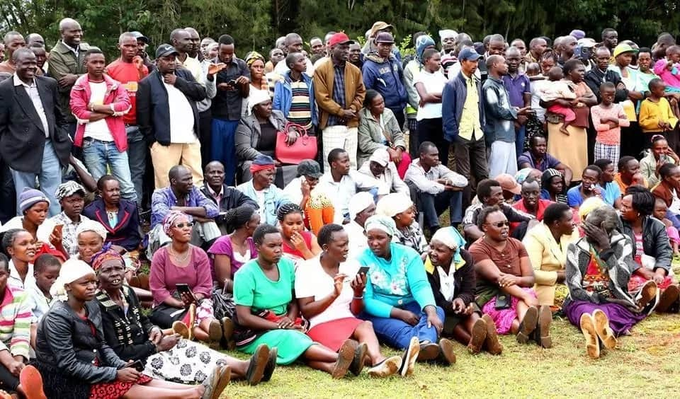 William Ruto goes back to his roots where he started as chicken seller, launches chicken auction