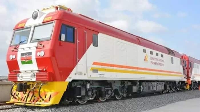 William Ruto Dismisses Jimmy Wanjigi's Claims SGR Costs Were Inflated: "We Rejected His Designs"