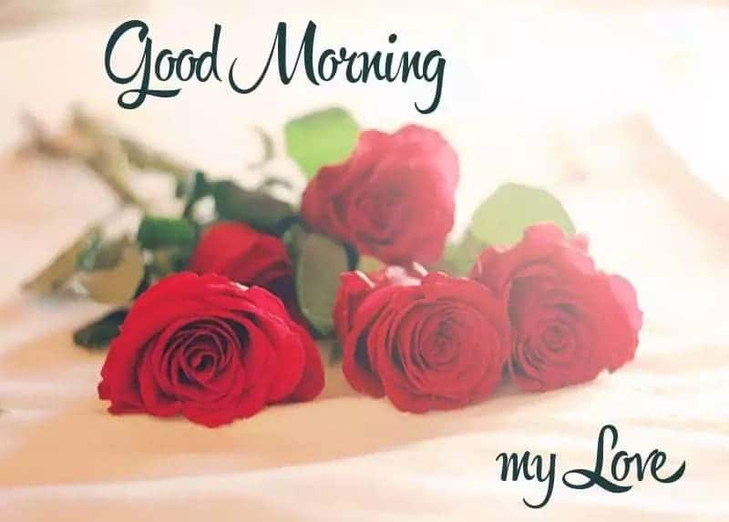 Good Morning Messages for Boyfriend
Romantic good morning messages for him
Most beautiful good morning messages for him
cute good morning messages with pictures
cool good morning messages