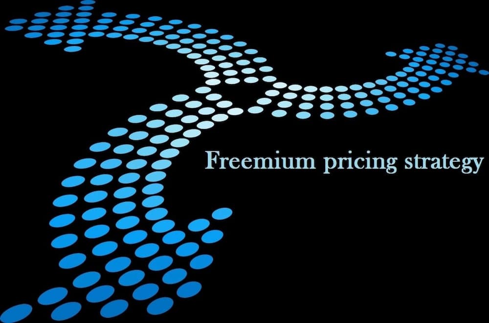 types of pricing,types of pricing strategies,pricing strategy
